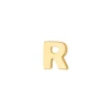 SIERSBØL BOGSTAV R 14 KARAT GULD ØRERING - 30083187050R