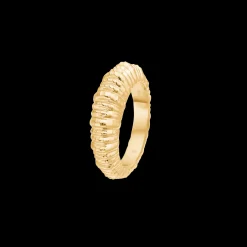 STUDIO Z SEASHELL SECRETS SØLV FORGYLDT RING - 7240907